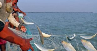 Ilish