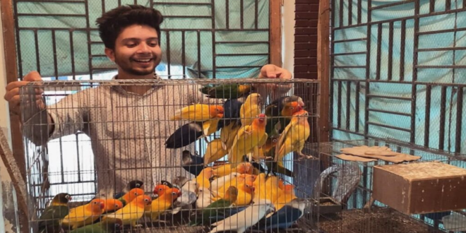 Sohag