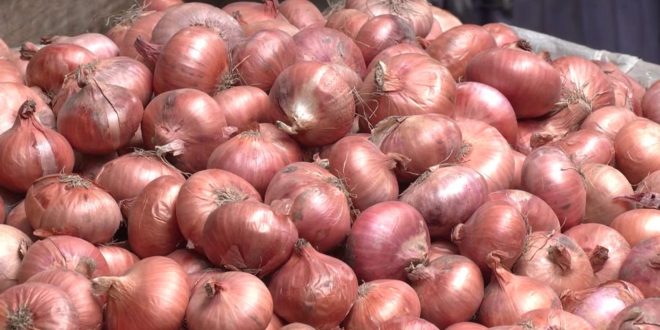 Onion