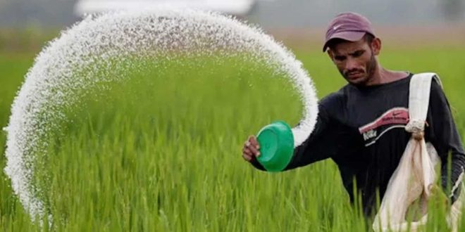 Fertilizer-Photo