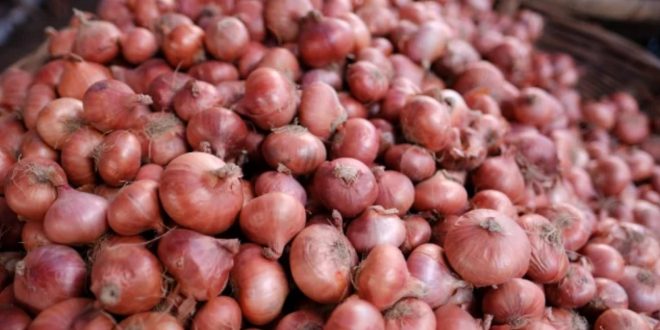 Onion