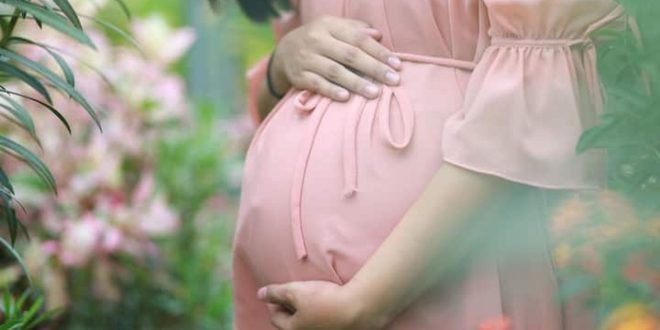 Pregnancy