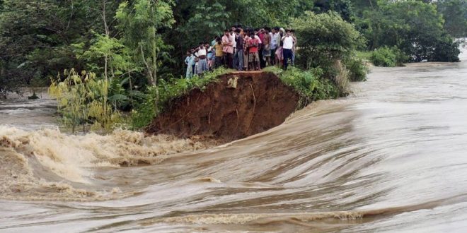 Pani