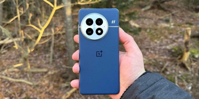 OnePlus 13